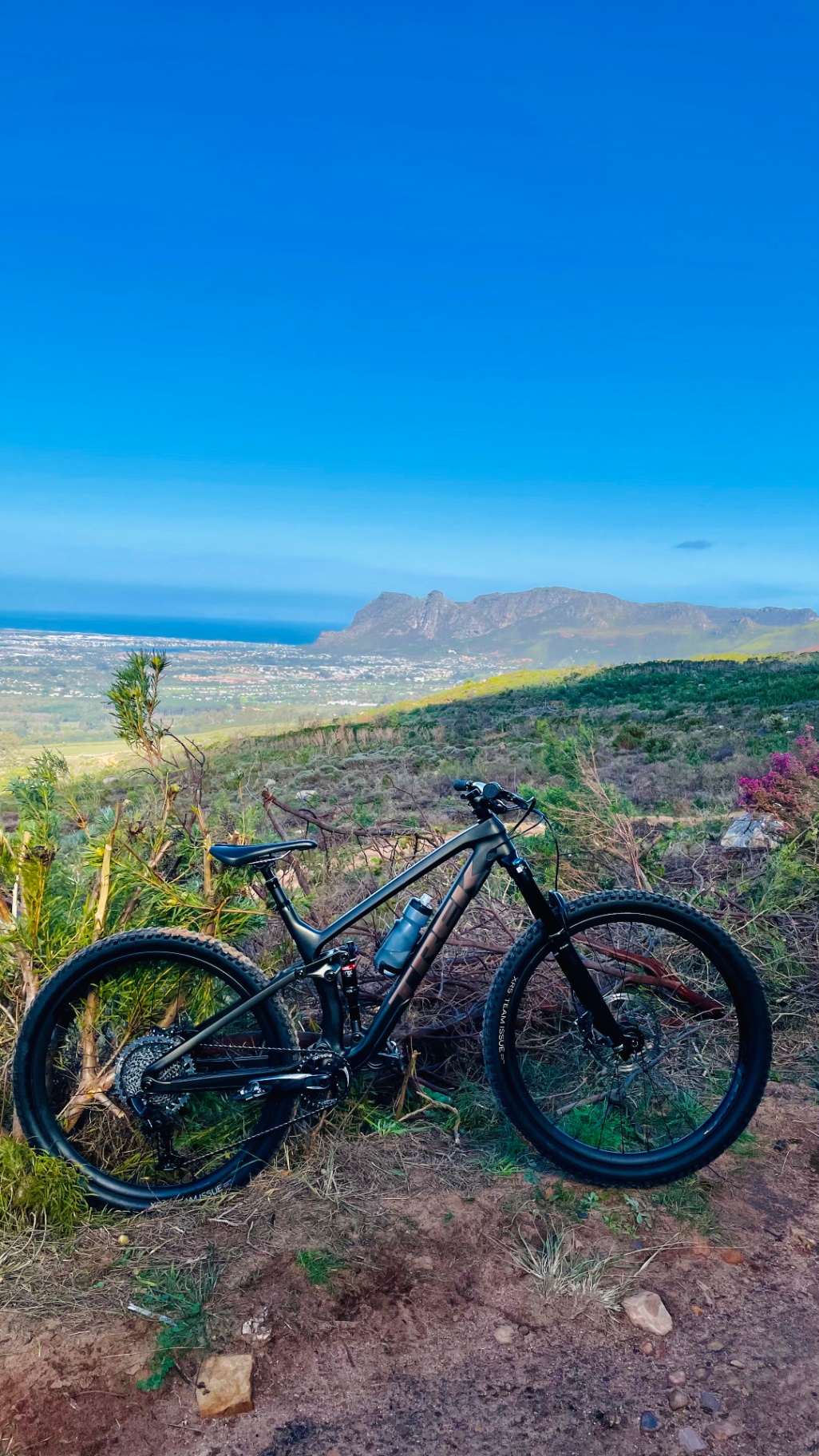 Trek mountain bike on a tree-lined trail in the Cape